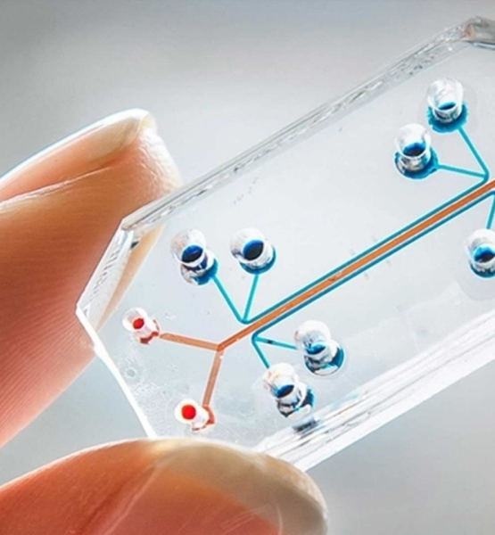 Investigación de nuevas estrategias para la producción microfluidica de alto valor añadido en el sector biomédico